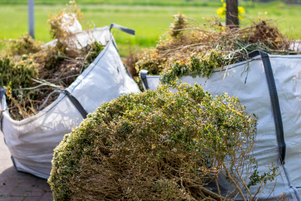 Best Moving and Downsizing Cleanouts  in Big Timber, MT